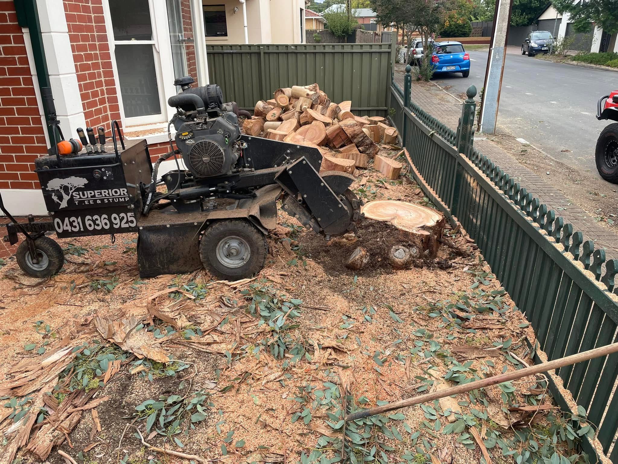 Recent tree work completed by Superior Tree and Stump