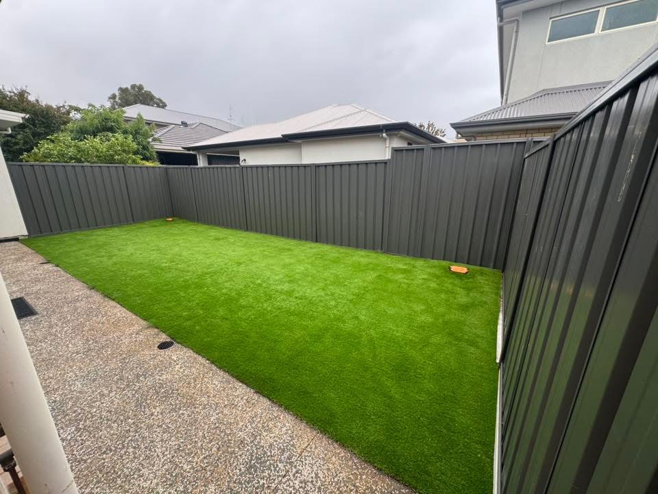 Pruning and tree care work in suburban Adelaide