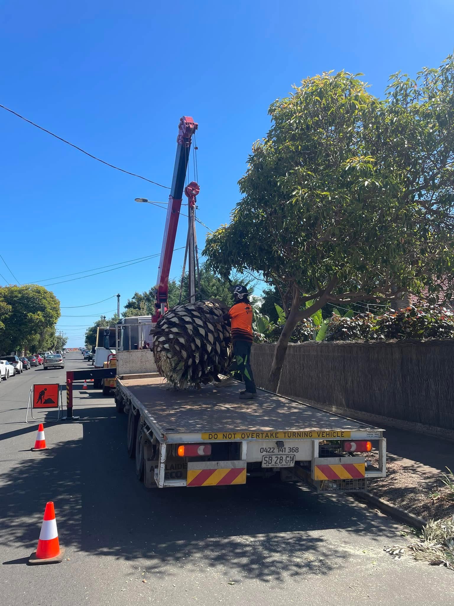 Recent tree work completed by Superior Tree and Stump