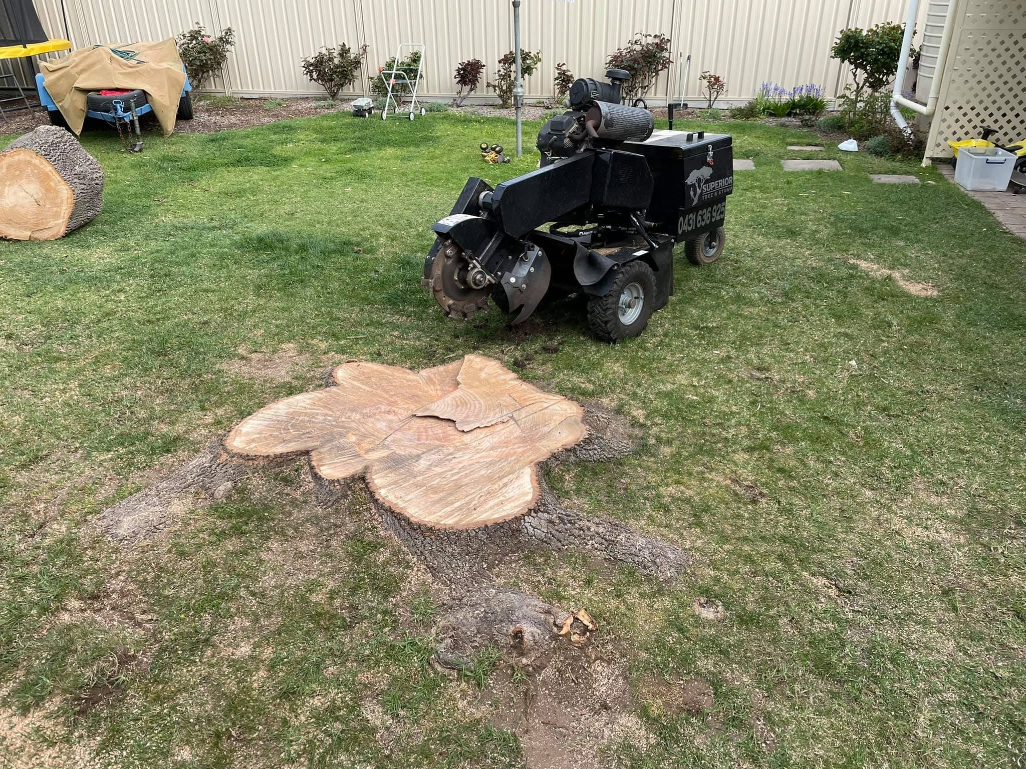 Recent tree work completed by Superior Tree and Stump
