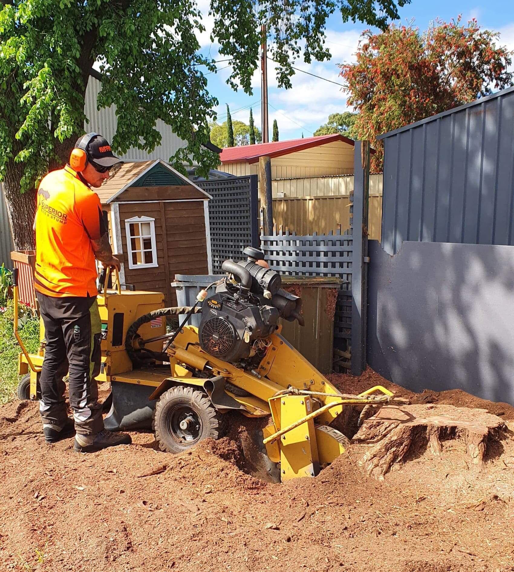 Stump grinding and site cleanup on an Adelaide property
