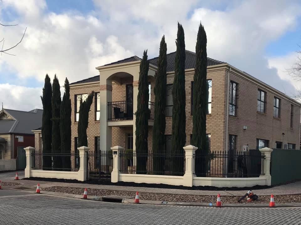 Recent tree work completed by Superior Tree and Stump
