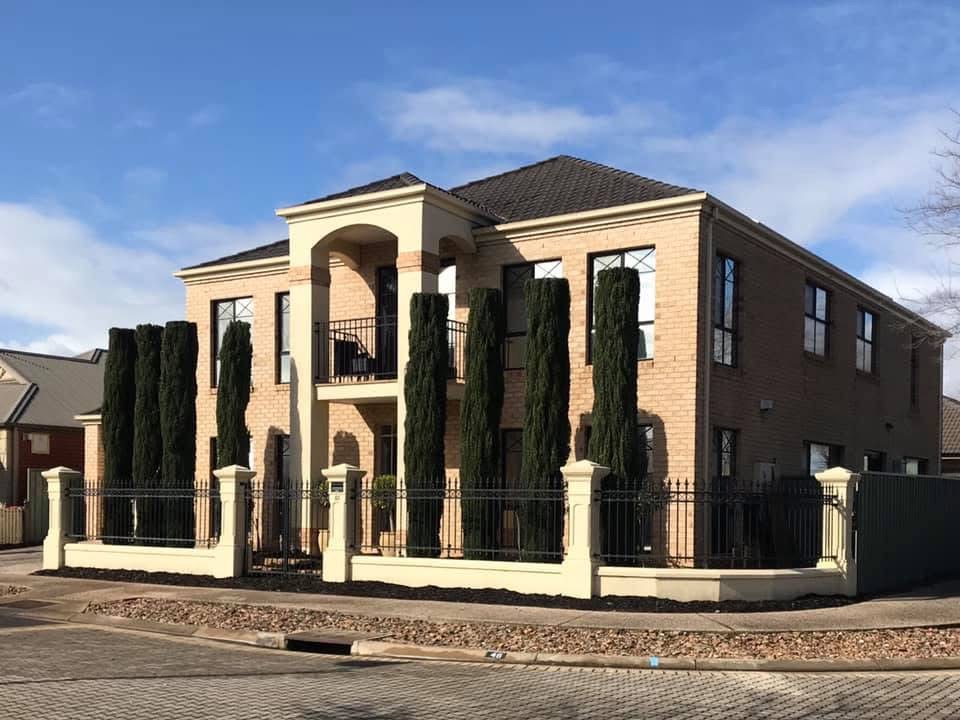 Tree removal and arborist work on an Adelaide property